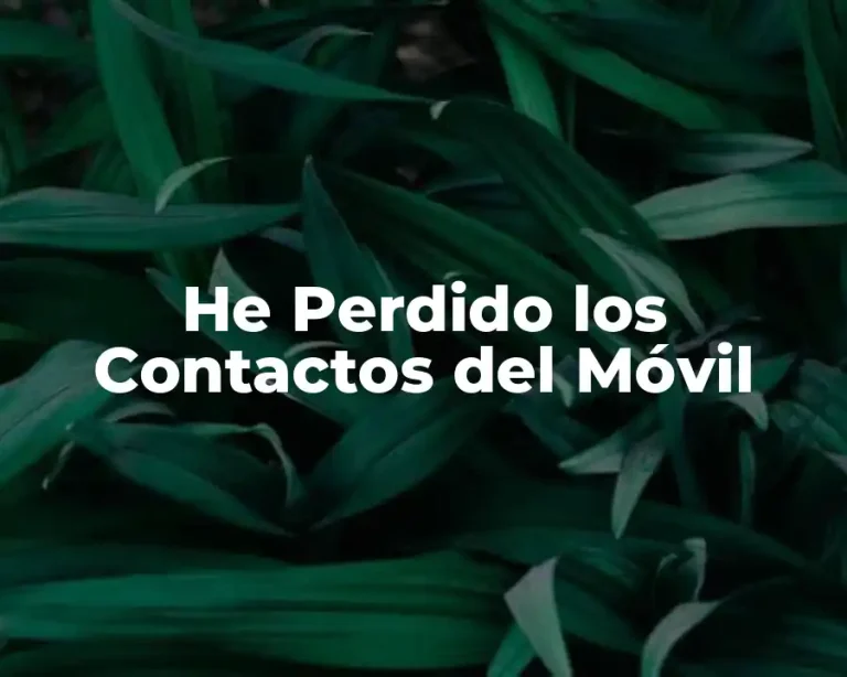 He Perdido los Contactos del Móvil