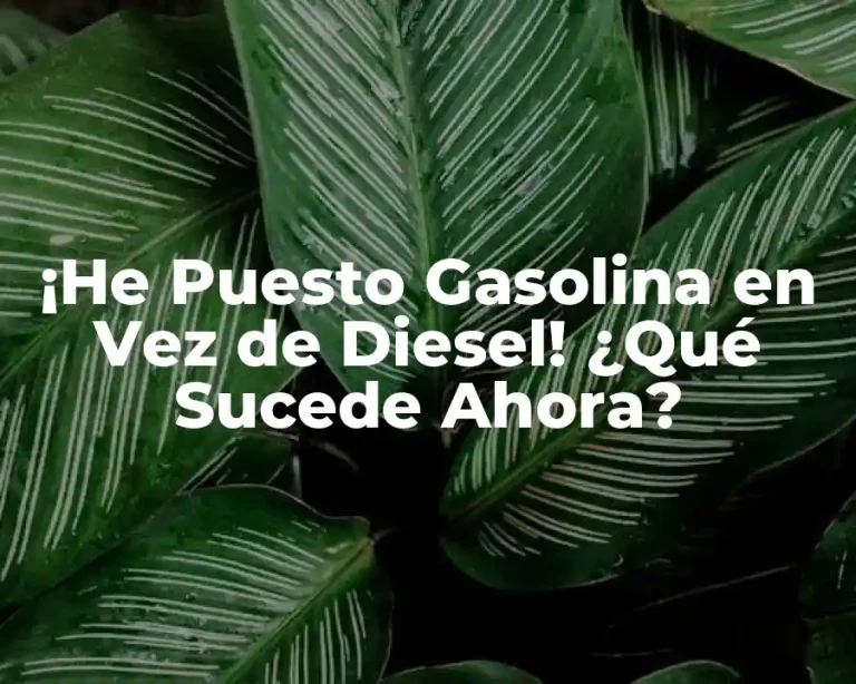 ¡He Puesto Gasolina en Vez de Diesel! ¿Qué Sucede Ahora?