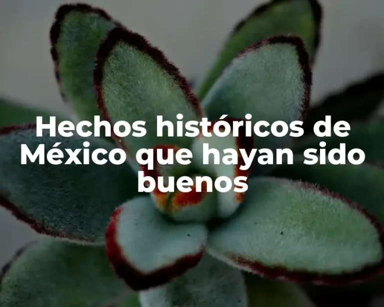 Hechos históricos de México que hayan sido buenos
