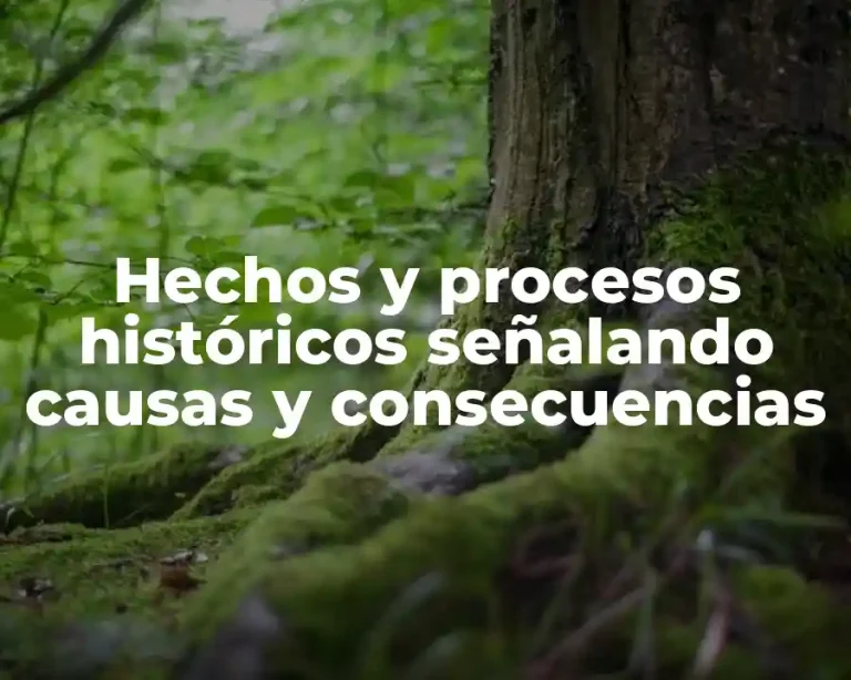 Hechos y procesos históricos señalando causas y consecuencias