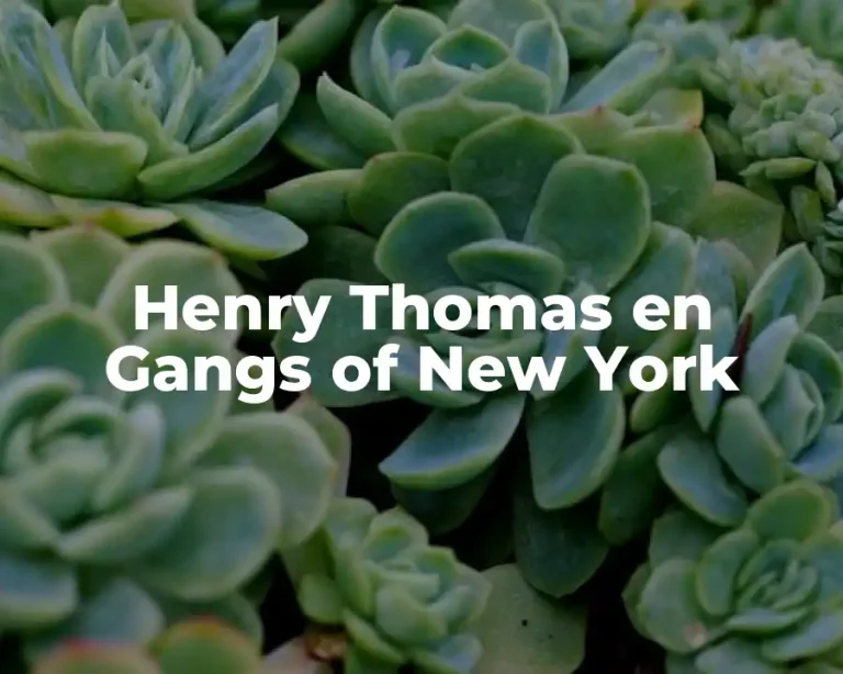 Henry Thomas en Gangs of New York