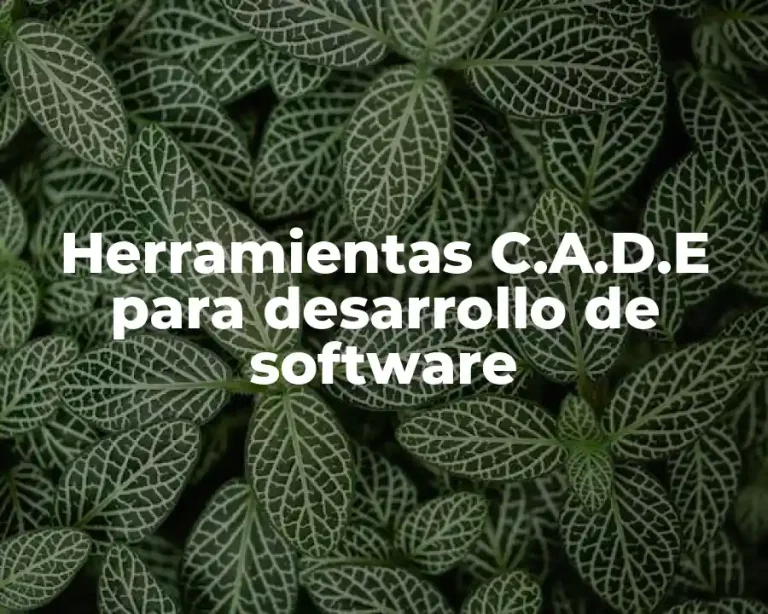 Herramientas C.A.D.E para desarrollo de software