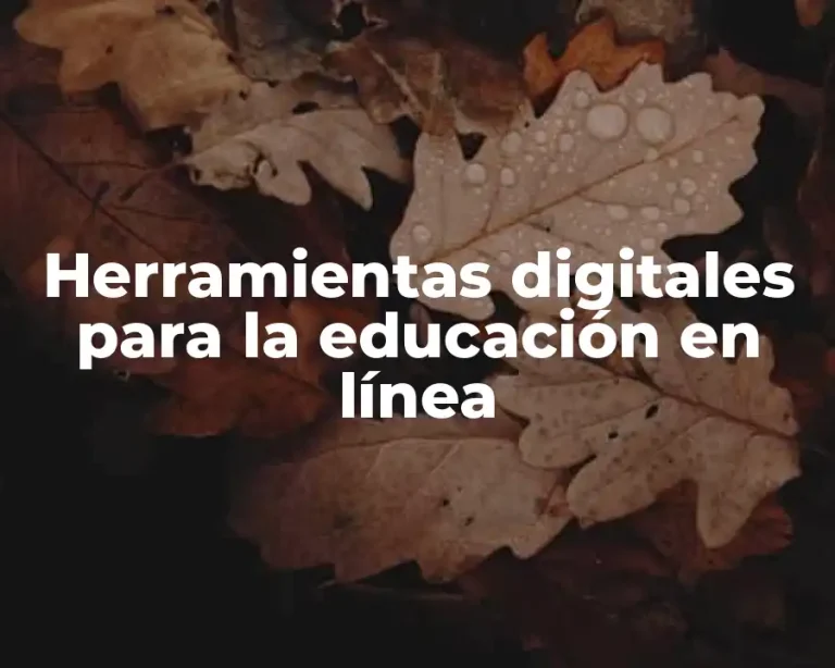 Herramientas digitales para la educación en línea