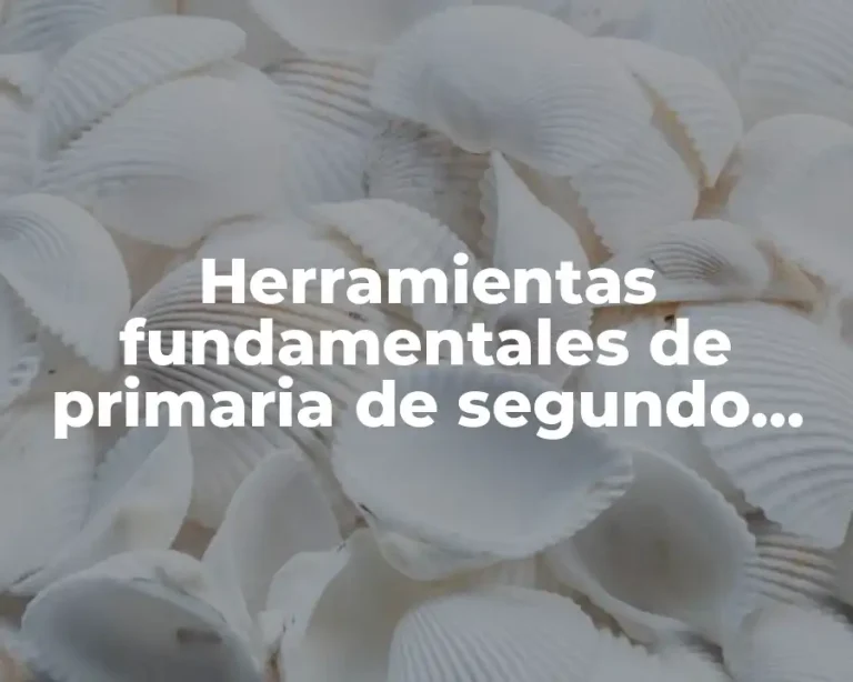 Herramientas fundamentales de primaria de segundo grado