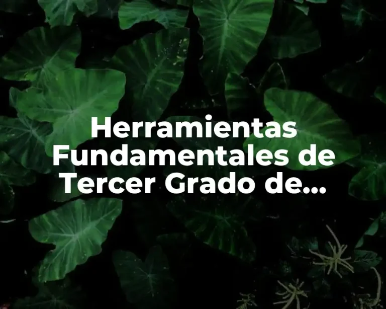 Herramientas Fundamentales de Tercer Grado de Primaria