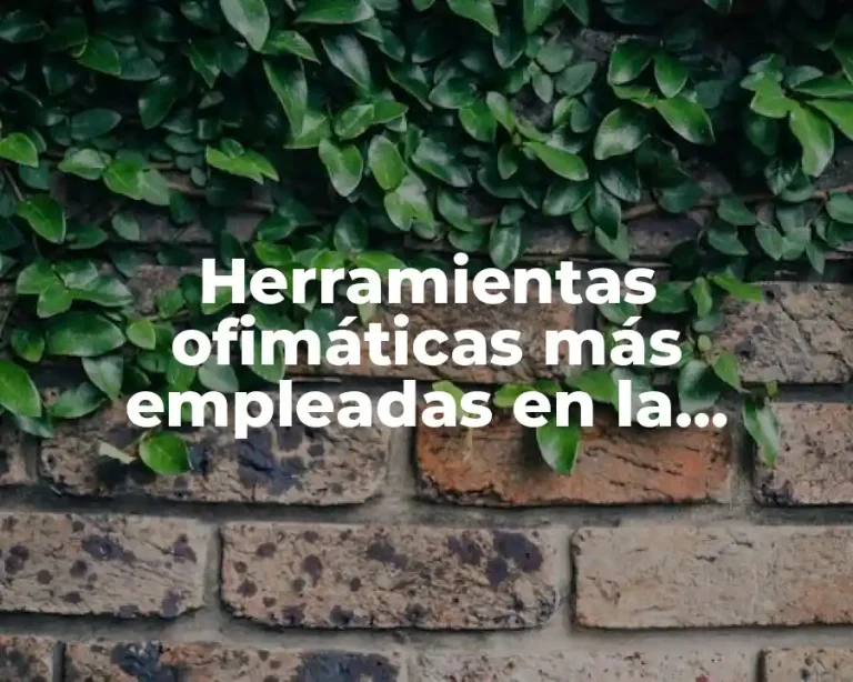 Herramientas ofimáticas más empleadas en la educación