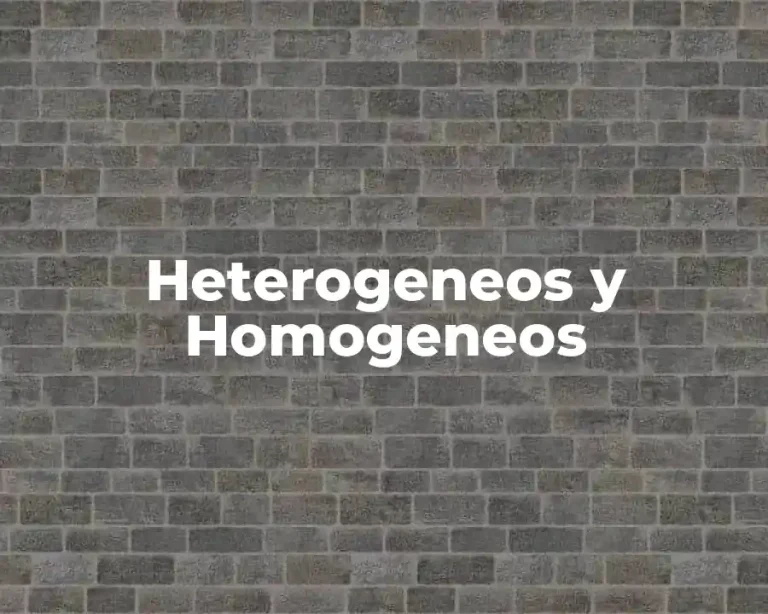 Heterogeneos y Homogeneos