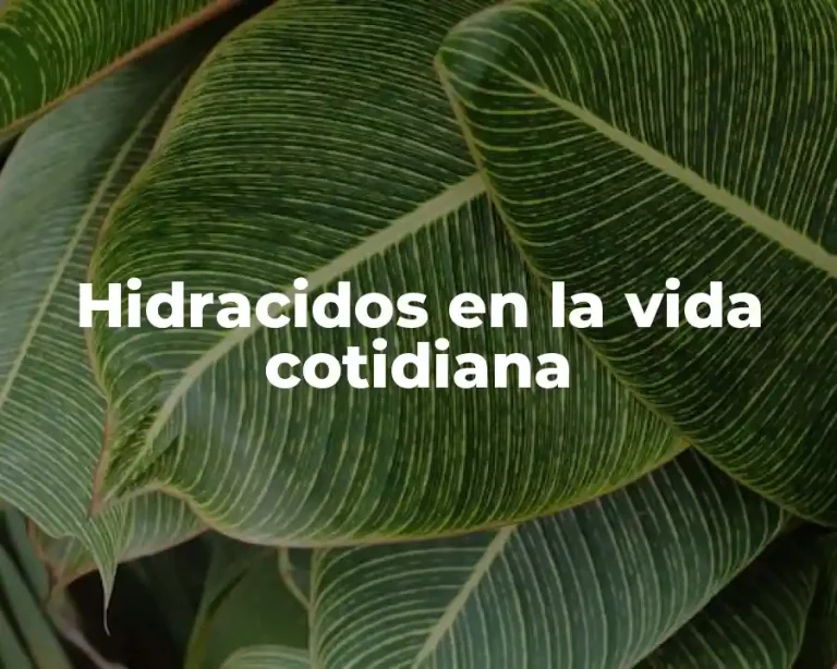 Hidracidos en la vida cotidiana