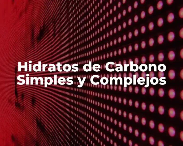 Hidratos de Carbono Simples y Complejos