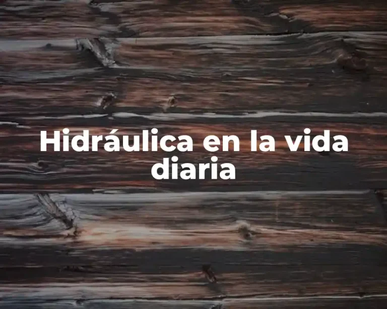 Hidráulica en la vida diaria