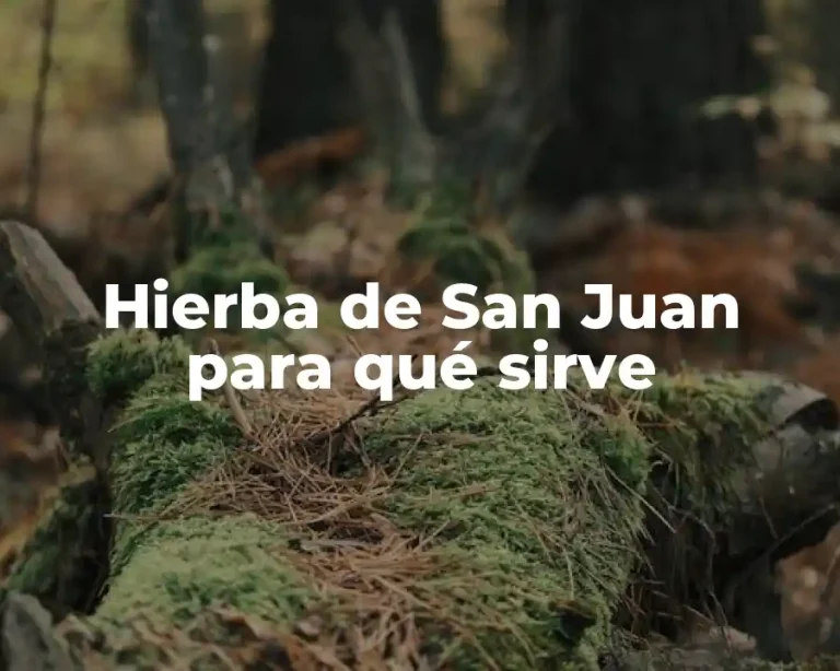 Hierba de San Juan para qué sirve