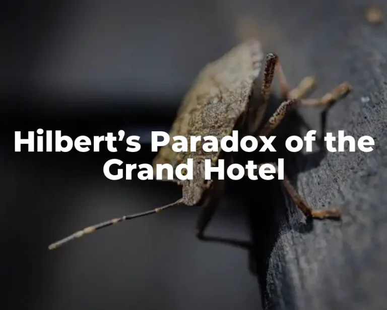 Hilbert’s Paradox of the Grand Hotel