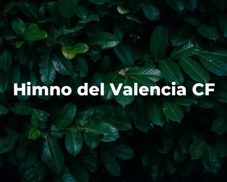 Himno del Valencia CF
