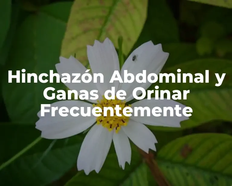 Hinchazón Abdominal y Ganas de Orinar Frecuentemente