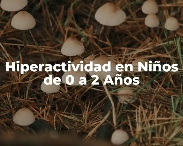 Hiperactividad en Niños de 0 a 2 Años