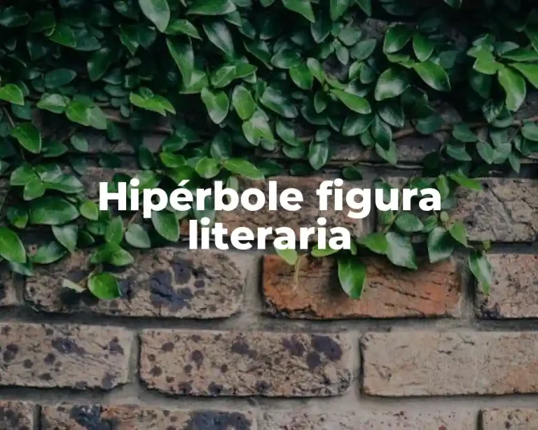 Hipérbole figura literaria