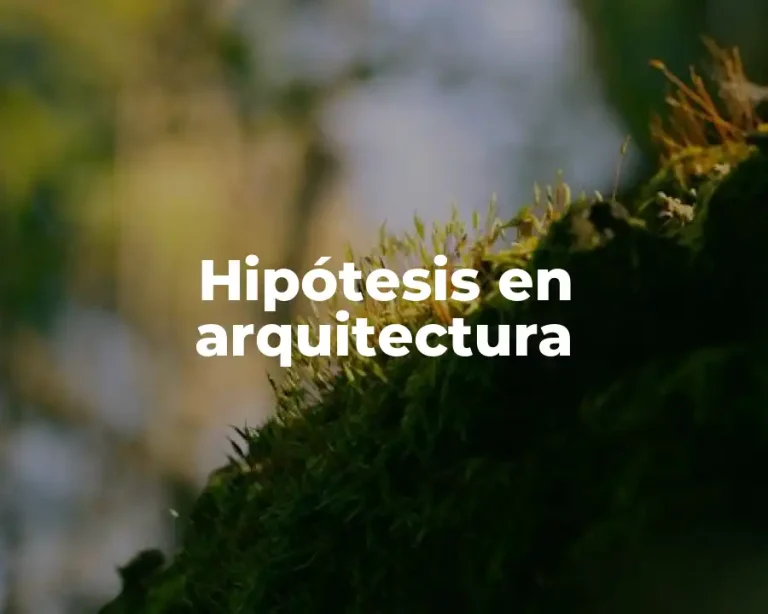 Hipótesis en arquitectura