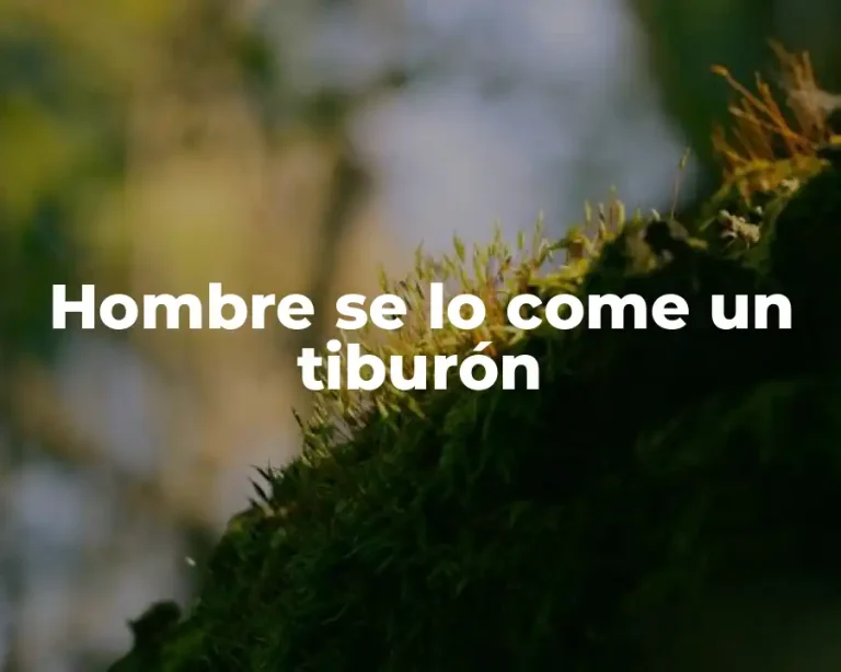 Hombre se lo come un tiburón