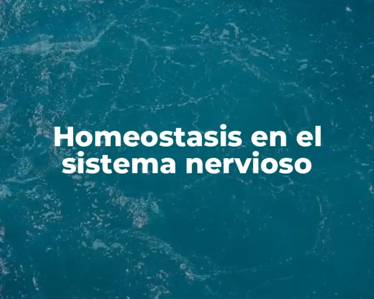 Homeostasis en el sistema nervioso