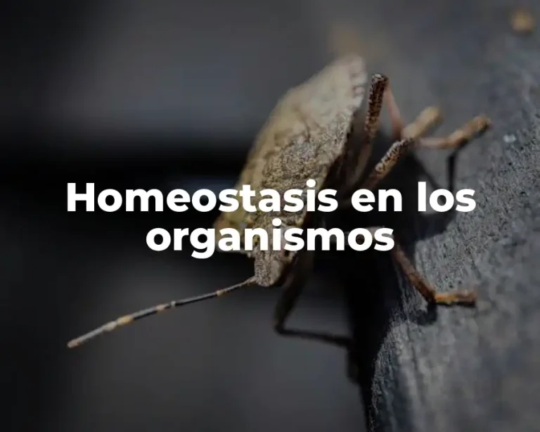 Homeostasis en los organismos