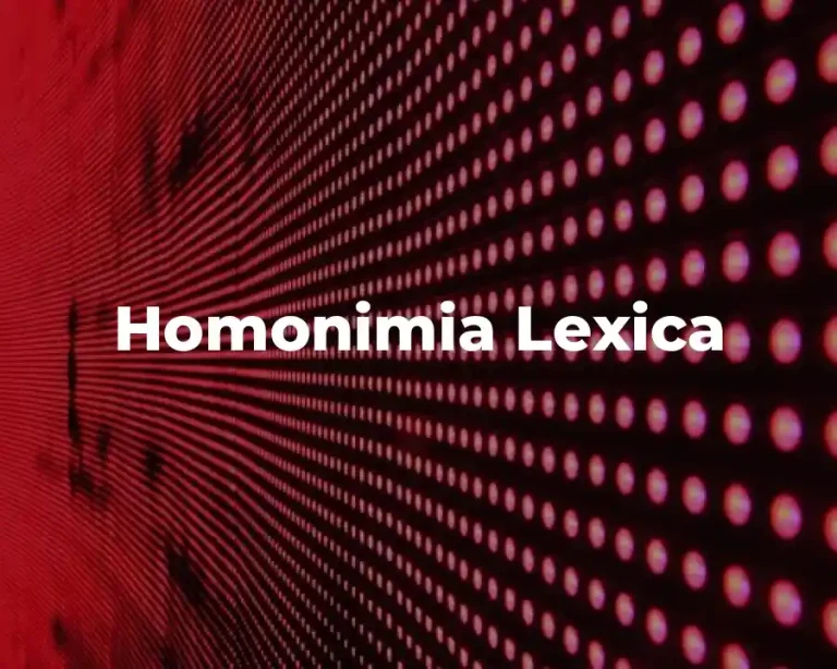 Homonimia Lexica