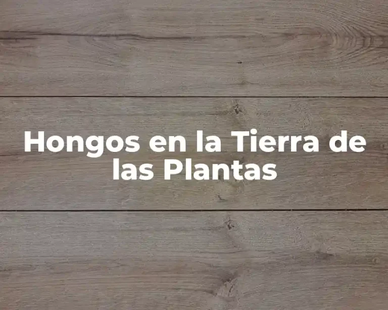 Hongos en la Tierra de las Plantas