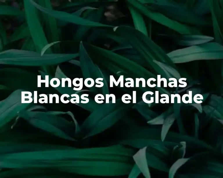 Hongos Manchas Blancas en el Glande