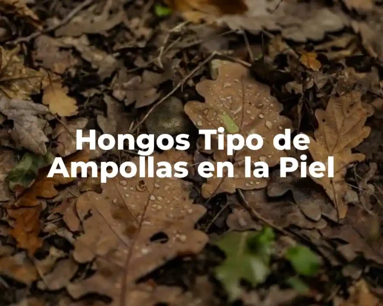 Hongos Tipo de Ampollas en la Piel