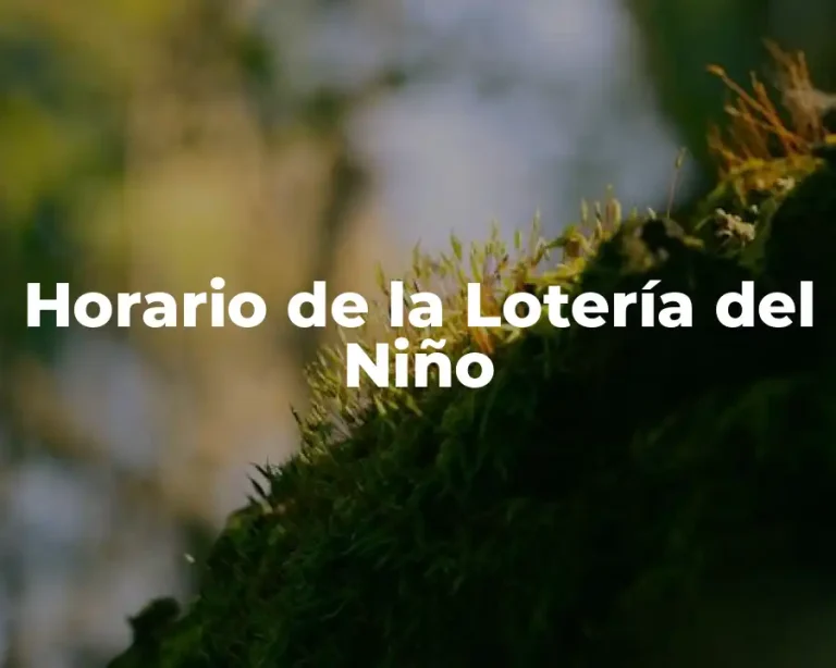 Horario de la Lotería del Niño