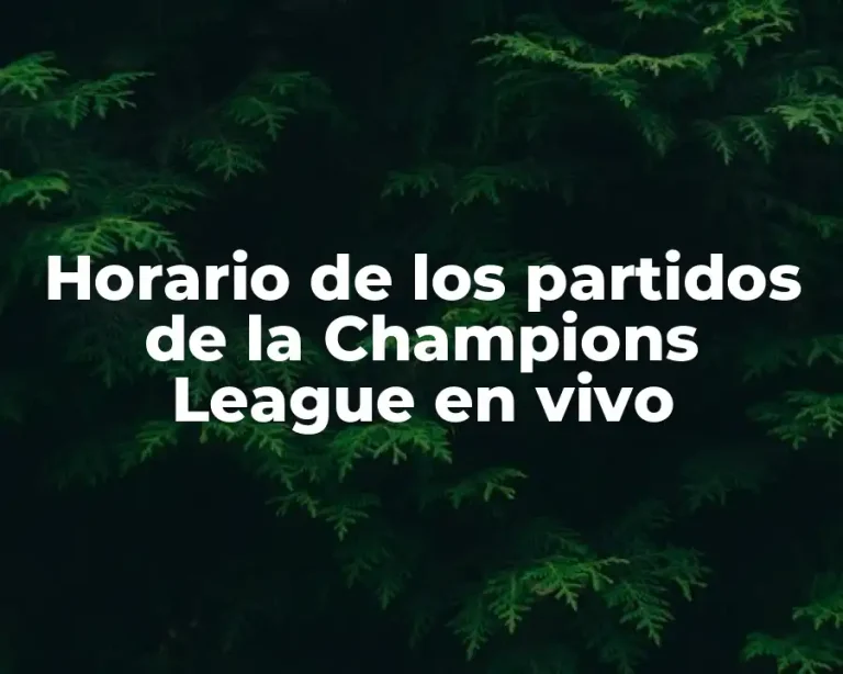 Horario de los partidos de la Champions League en vivo