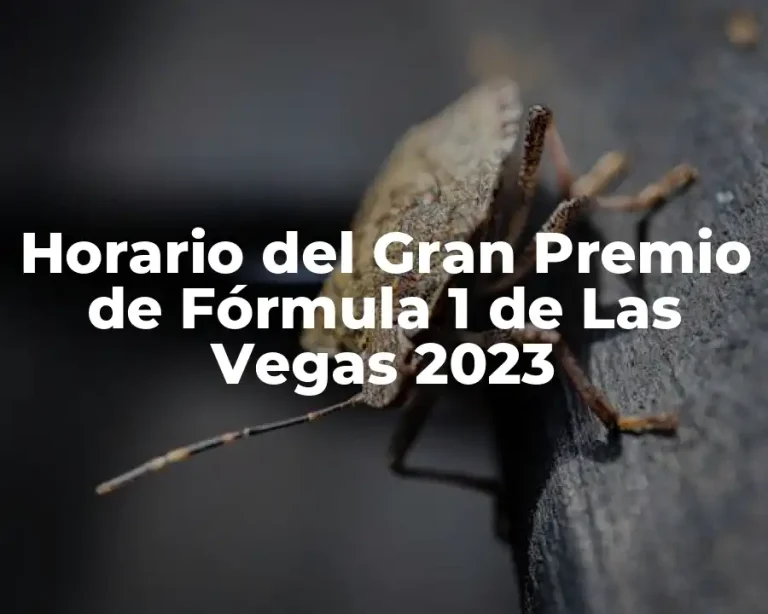Horario del Gran Premio de Fórmula 1 de Las Vegas 2023