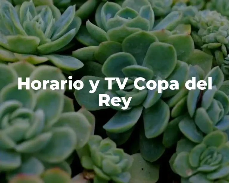 Horario y TV Copa del Rey