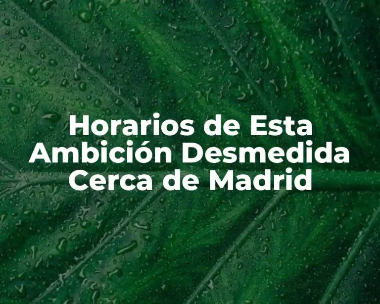 Horarios de Esta Ambición Desmedida Cerca de Madrid