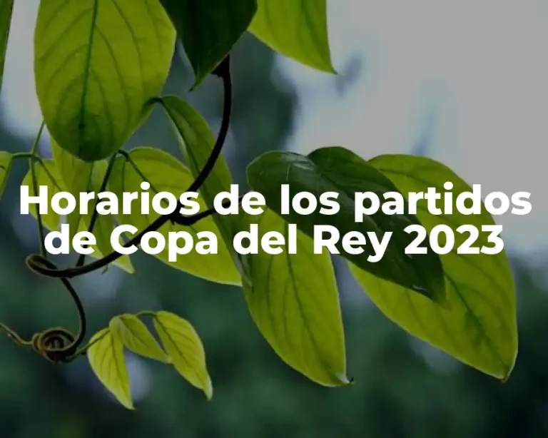 Horarios de los partidos de Copa del Rey 2023