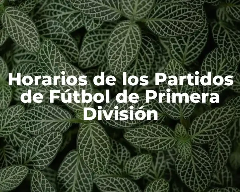 Horarios de los Partidos de Fútbol de Primera División