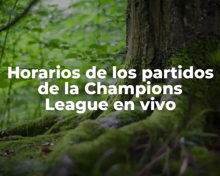 Horarios de los partidos de la Champions League en vivo
