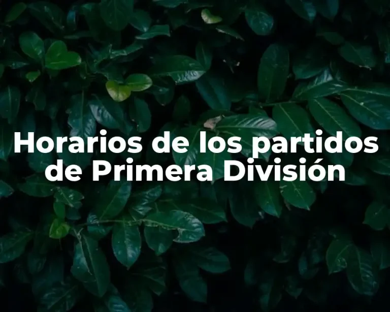 Horarios de los partidos de Primera División