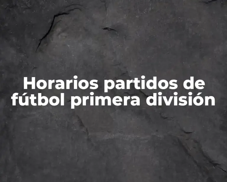 Horarios partidos de fútbol primera división