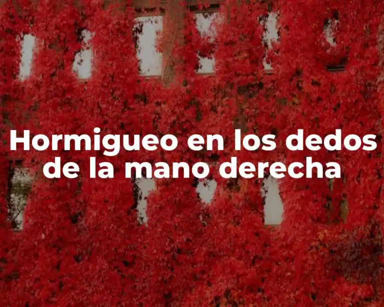 Hormigueo en los dedos de la mano derecha