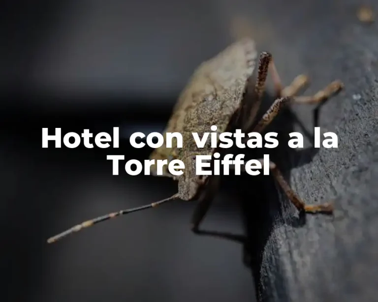 Hotel con vistas a la Torre Eiffel