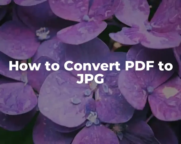 How to Convert PDF to JPG