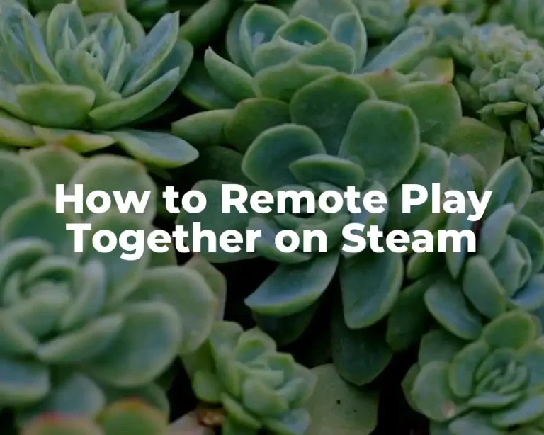 How to Remote Play Together on Steam