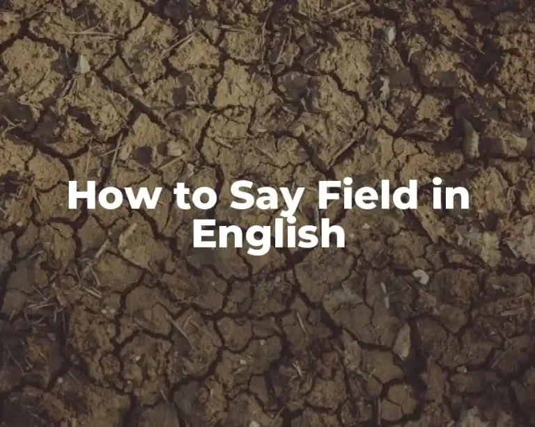 How to Say Field in English