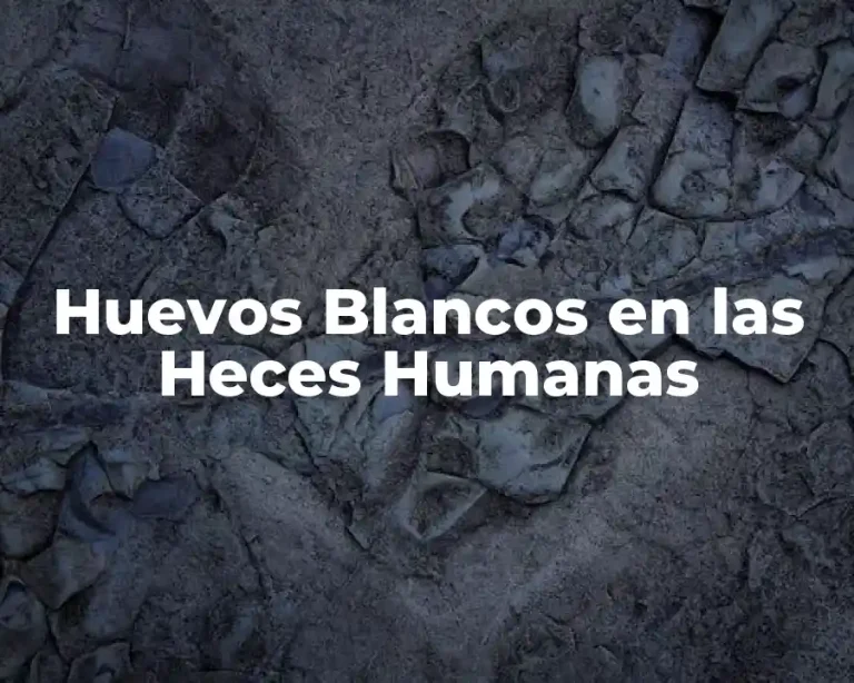 Huevos Blancos en las Heces Humanas