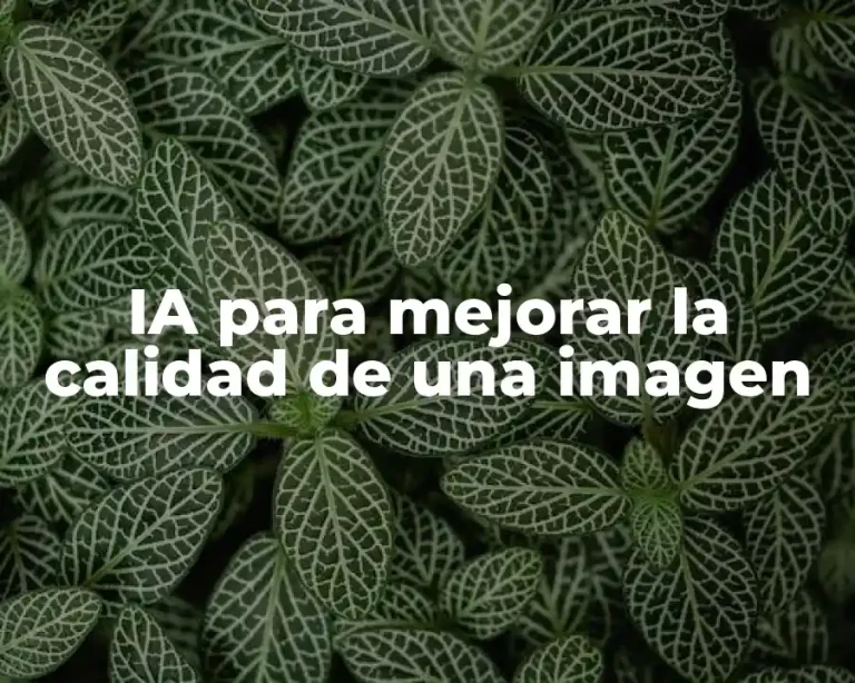 IA para mejorar la calidad de una imagen