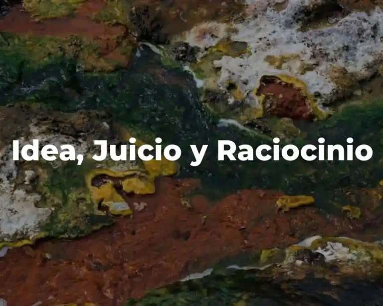 Idea, Juicio y Raciocinio