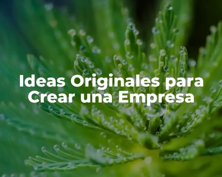 Ideas Originales para Crear una Empresa