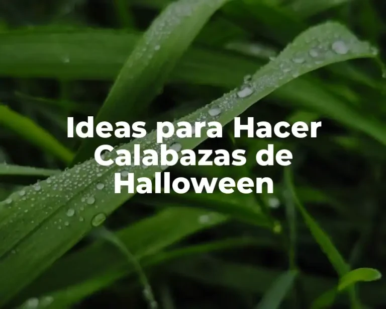 Ideas para Hacer Calabazas de Halloween