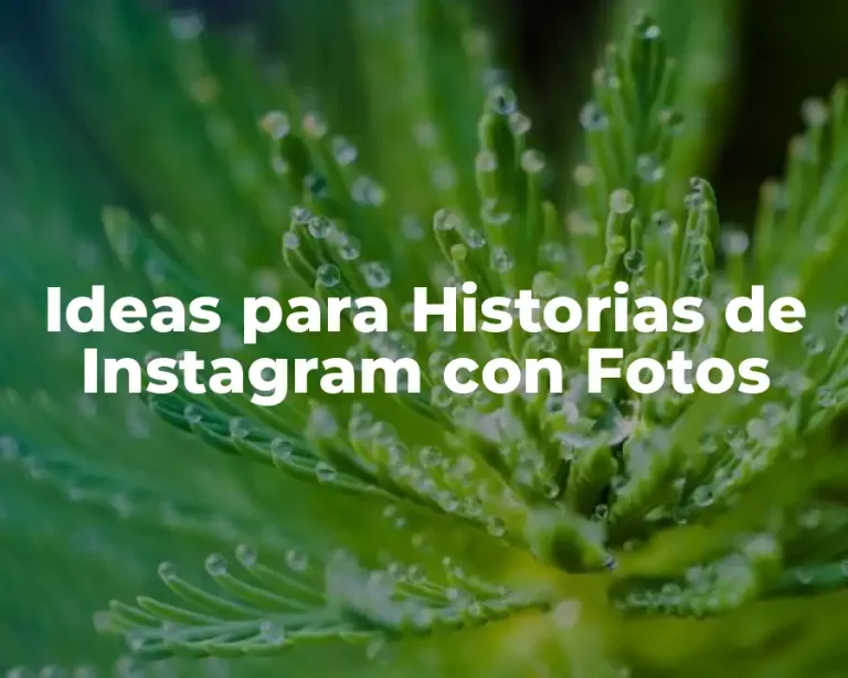 Ideas para Historias de Instagram con Fotos