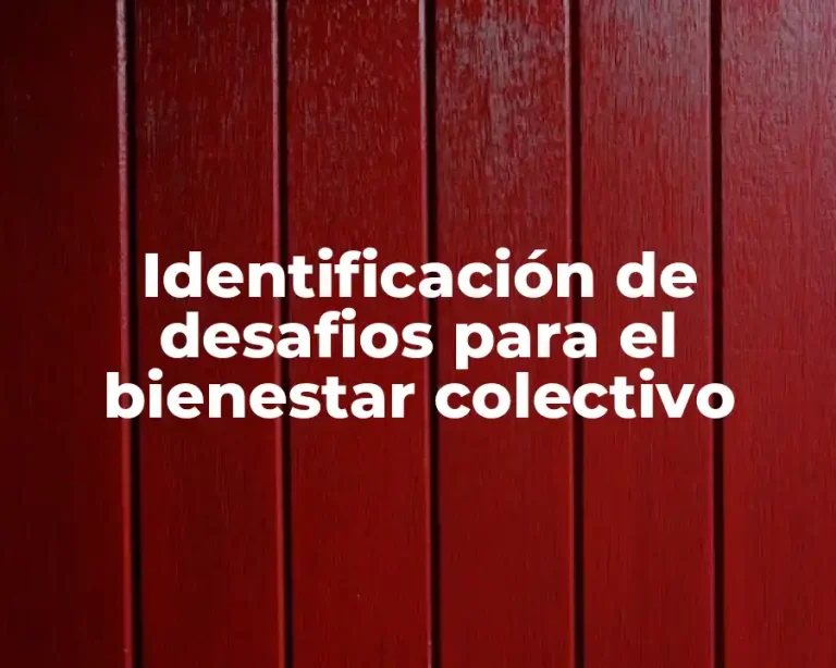 Identificación de desafios para el bienestar colectivo